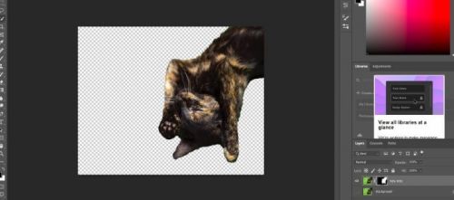 آموزش جدا کردن پس زمینه در فتوشاپ